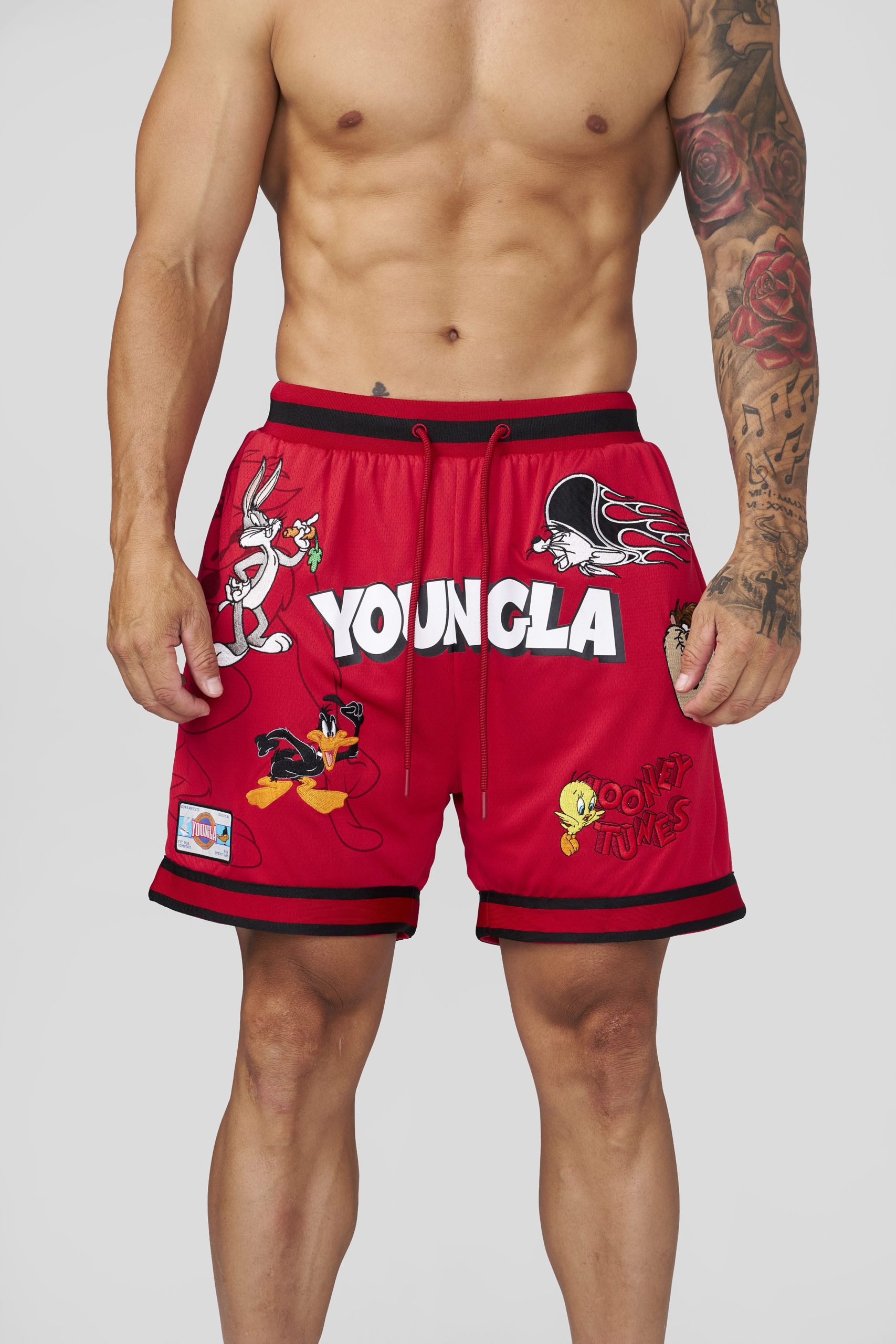1071 - Looney Tunes Embroidered Patch Shorts - Image 7