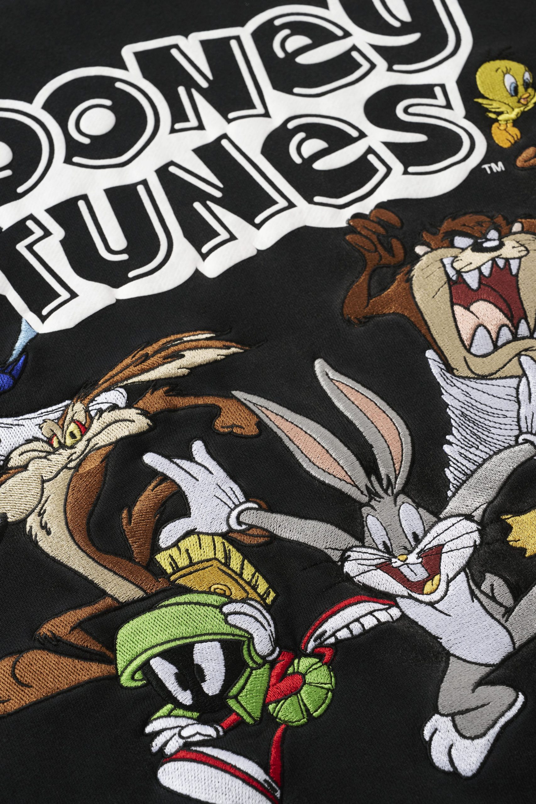 5114 - Looney Tunes Embroidered Hoodies - Image 3