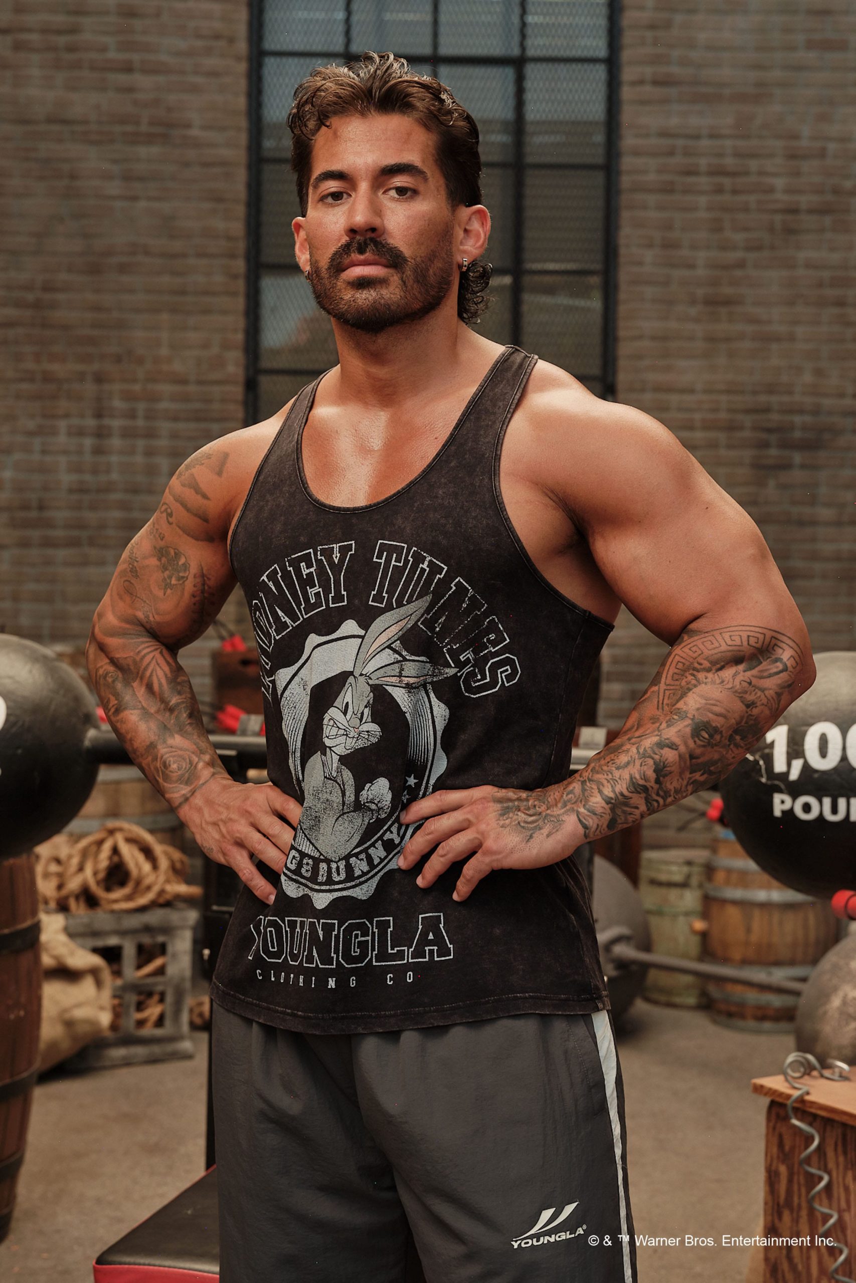3078 - Looney Tunes Stringers - Image 3