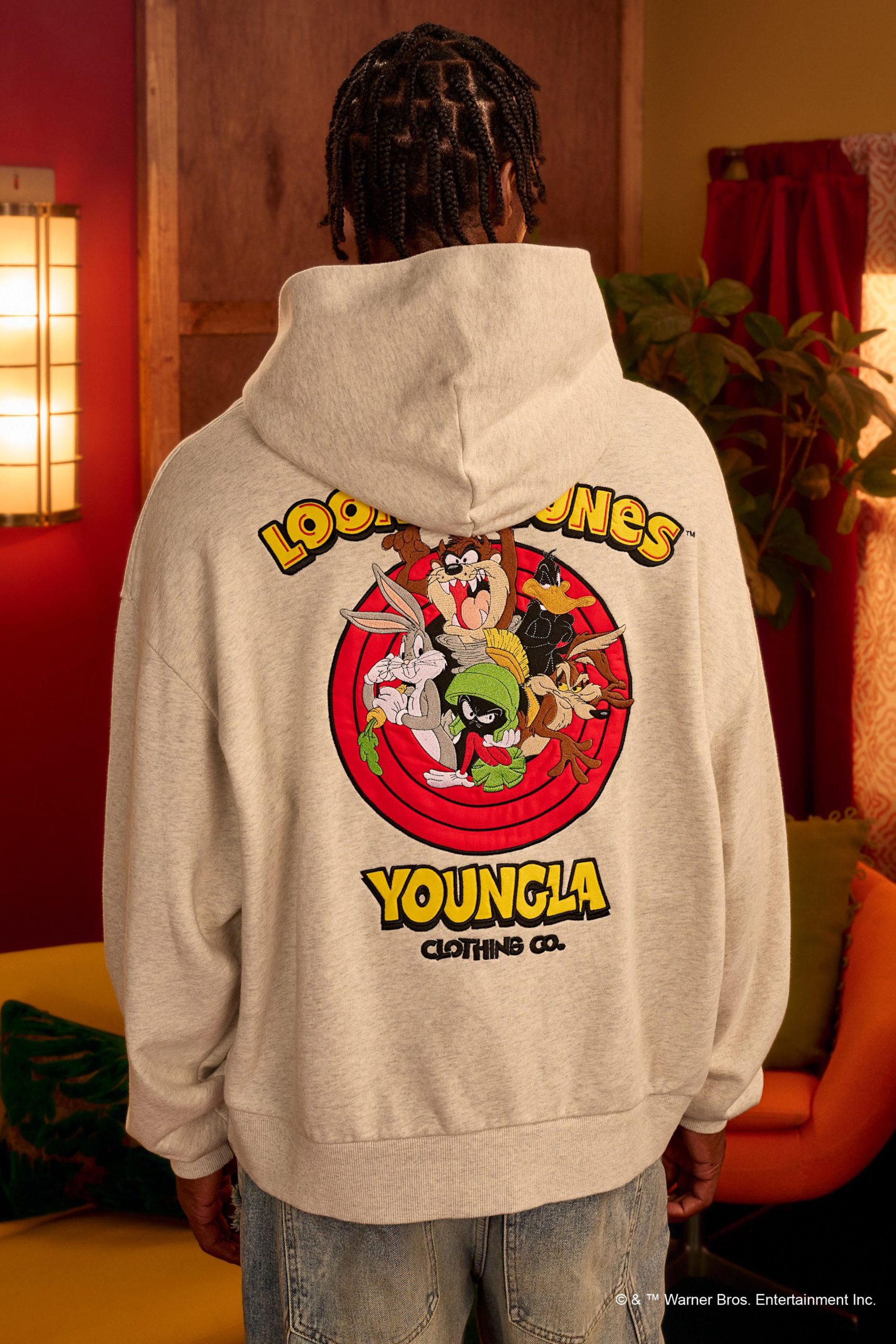 5114 - Looney Tunes Embroidered Hoodies - Image 4
