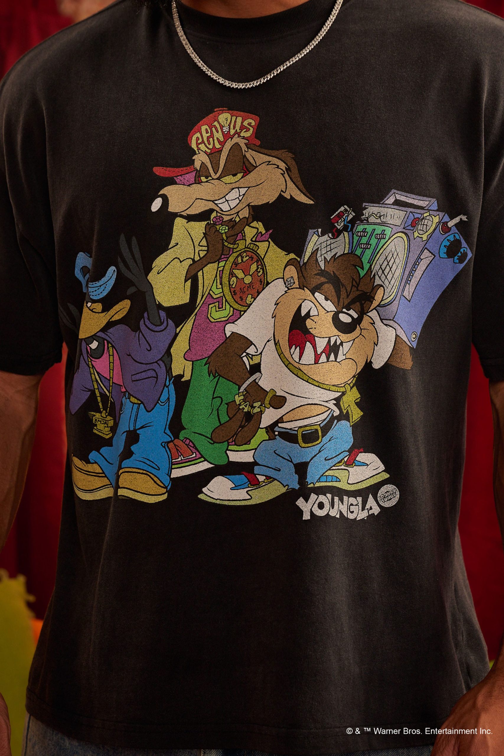 4291 - Looney Tunes Vintage Tees - Image 3
