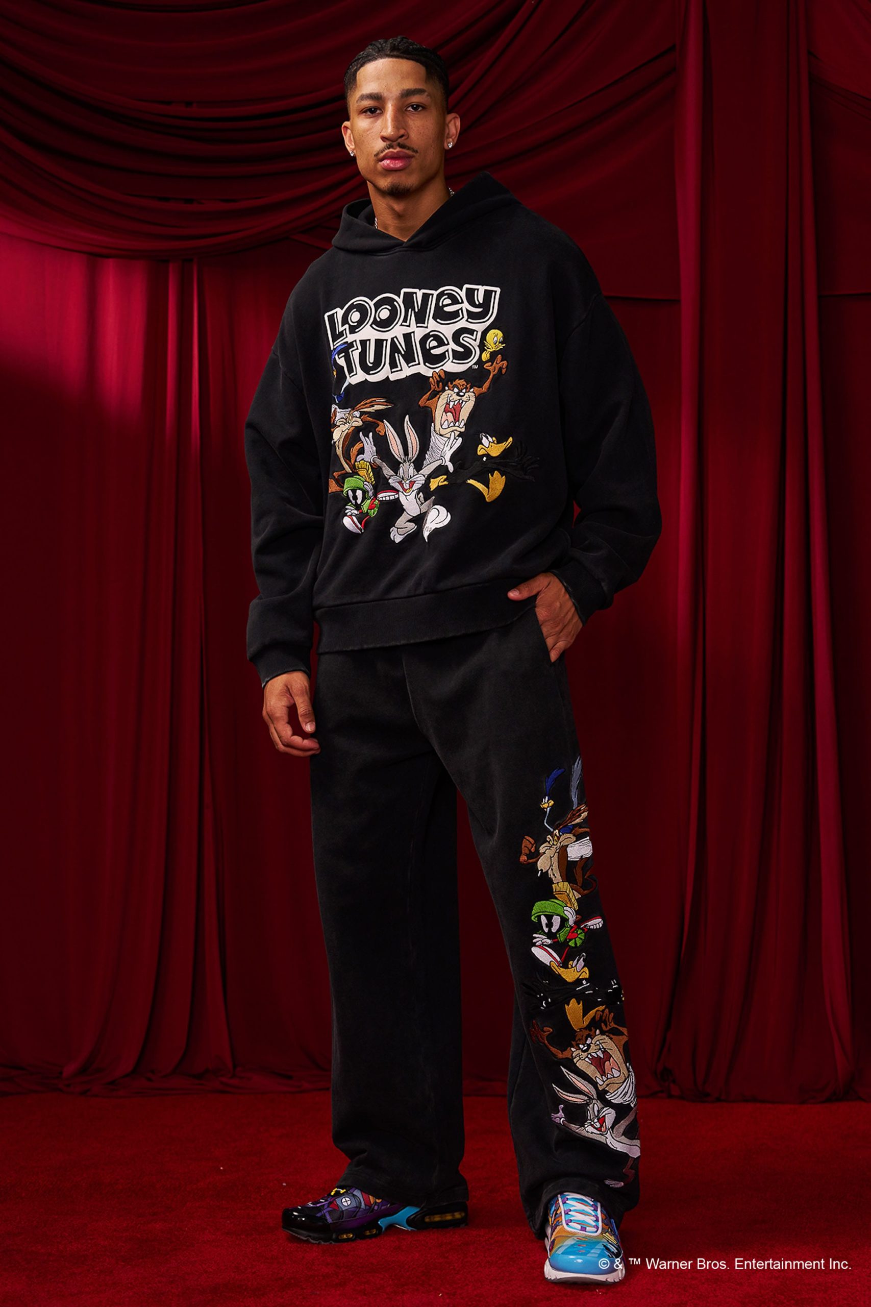 5114 - Looney Tunes Embroidered Hoodies - Image 8