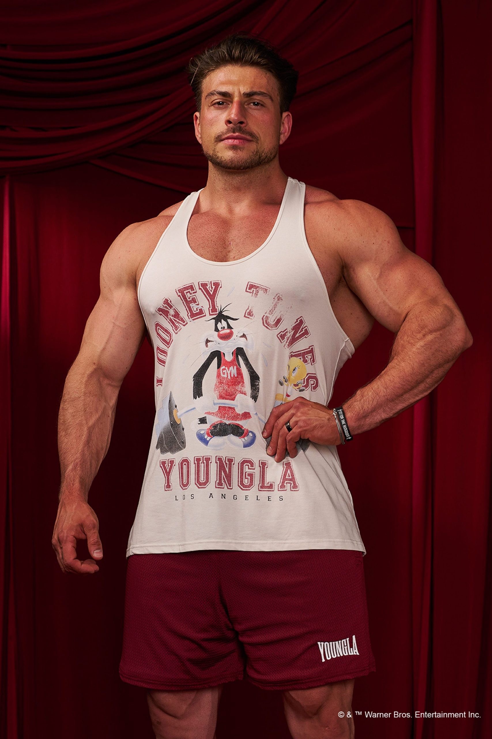 3078 - Looney Tunes Stringers - Image 4